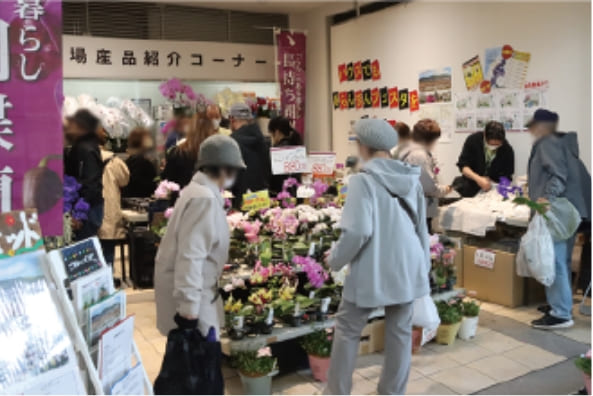 洋らん販売